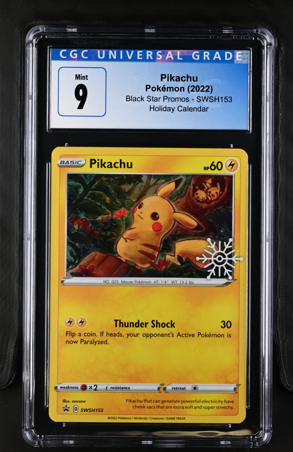 Pikachu card artwork