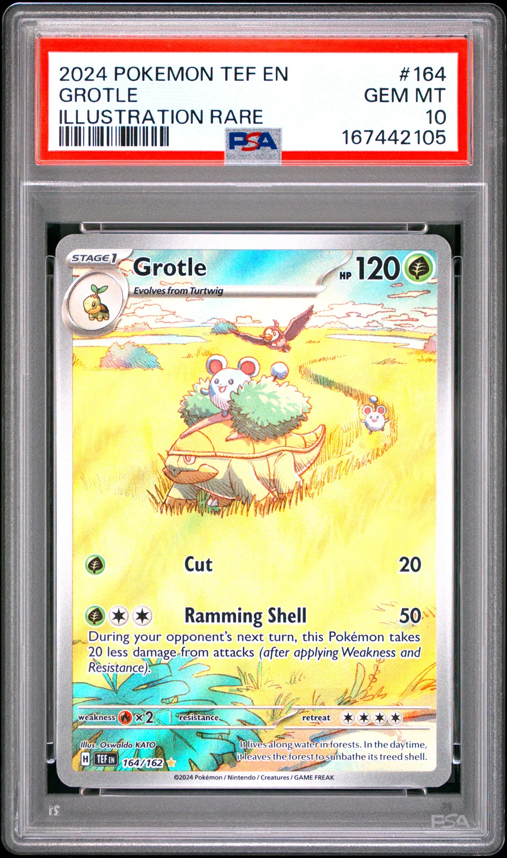 Grotle card artwork