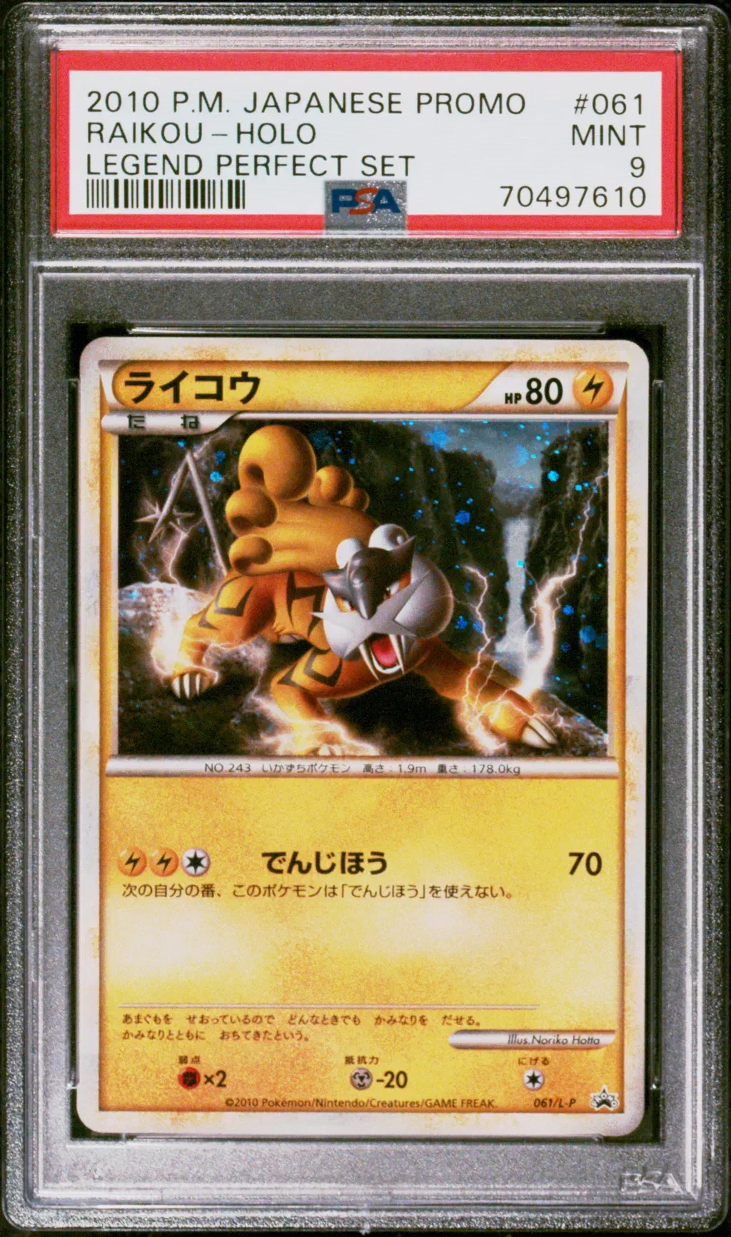 Raikou-Holo card artwork