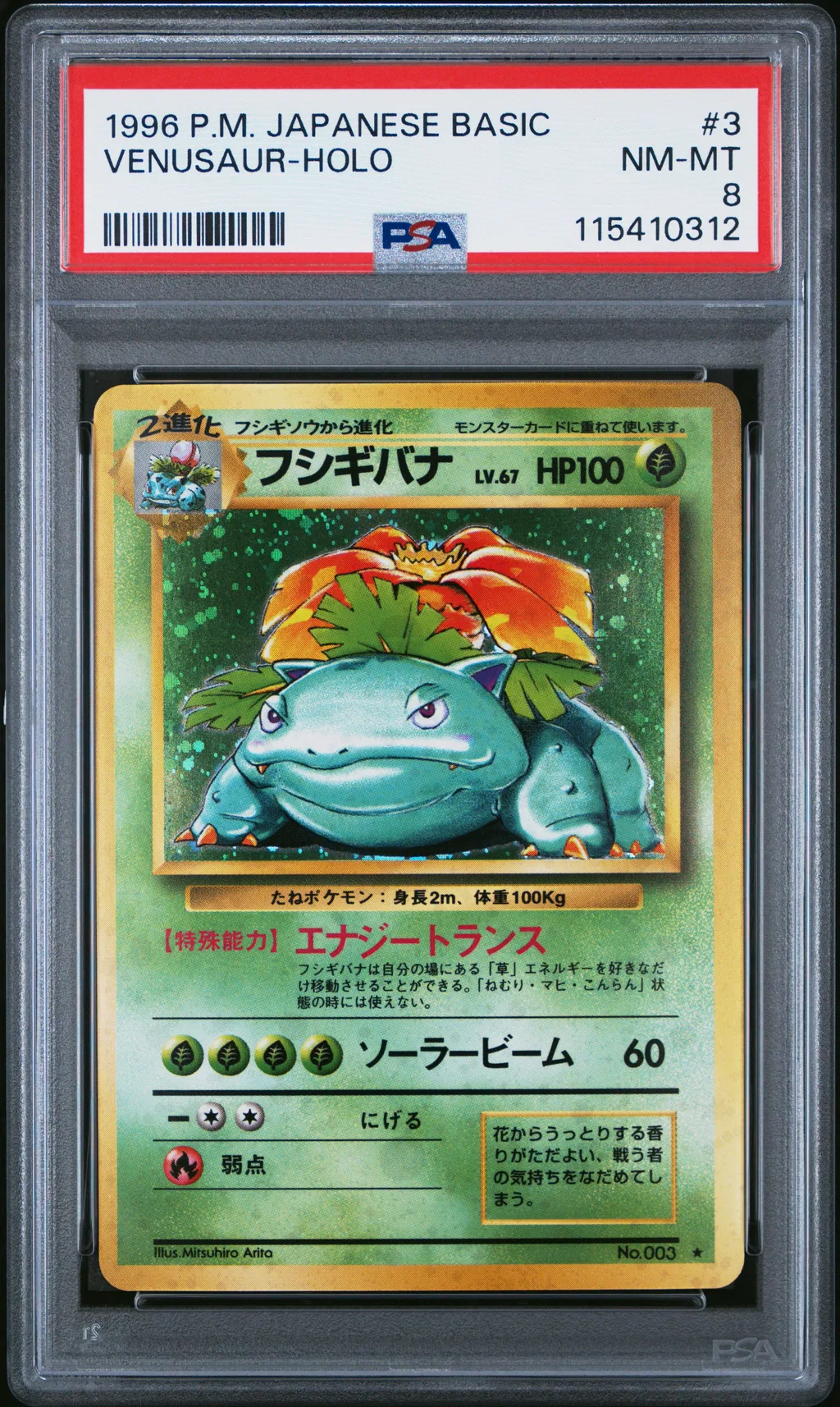 Venusaur-Holo card artwork