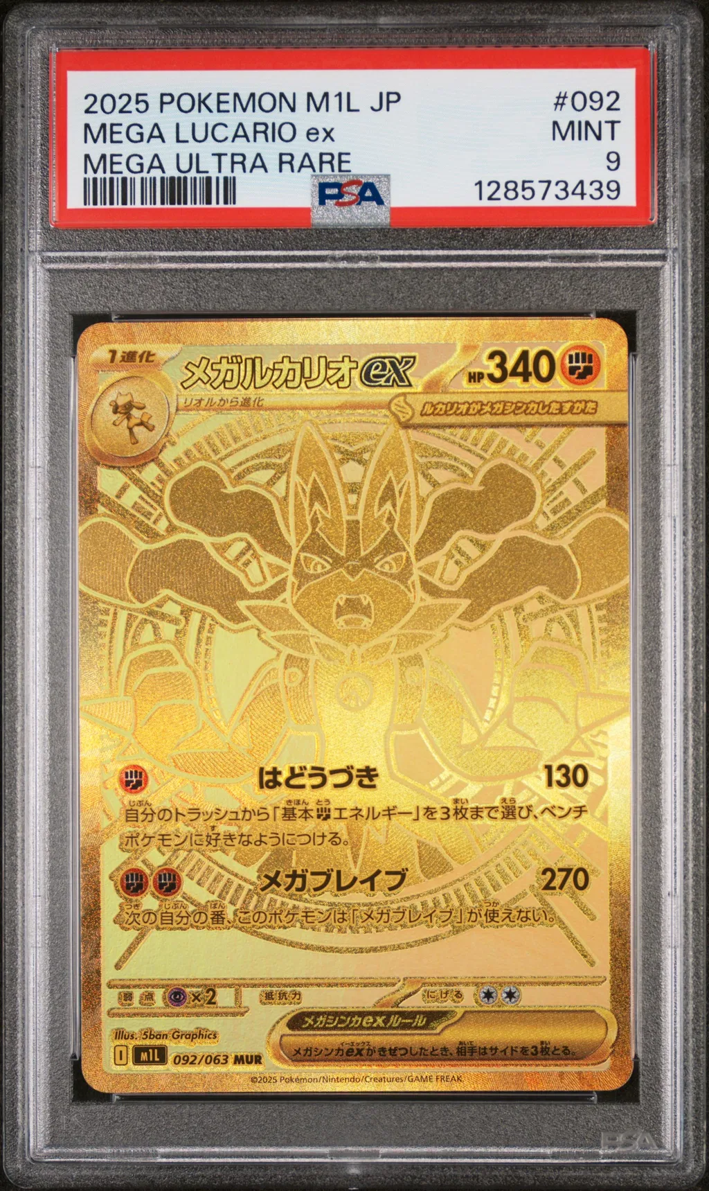 Mega Lucario EX card artwork