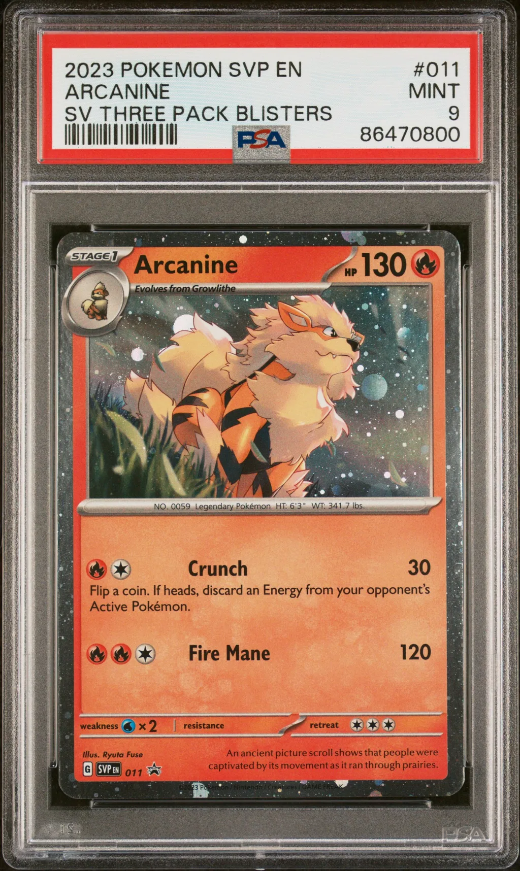 Arcanine card artwork
