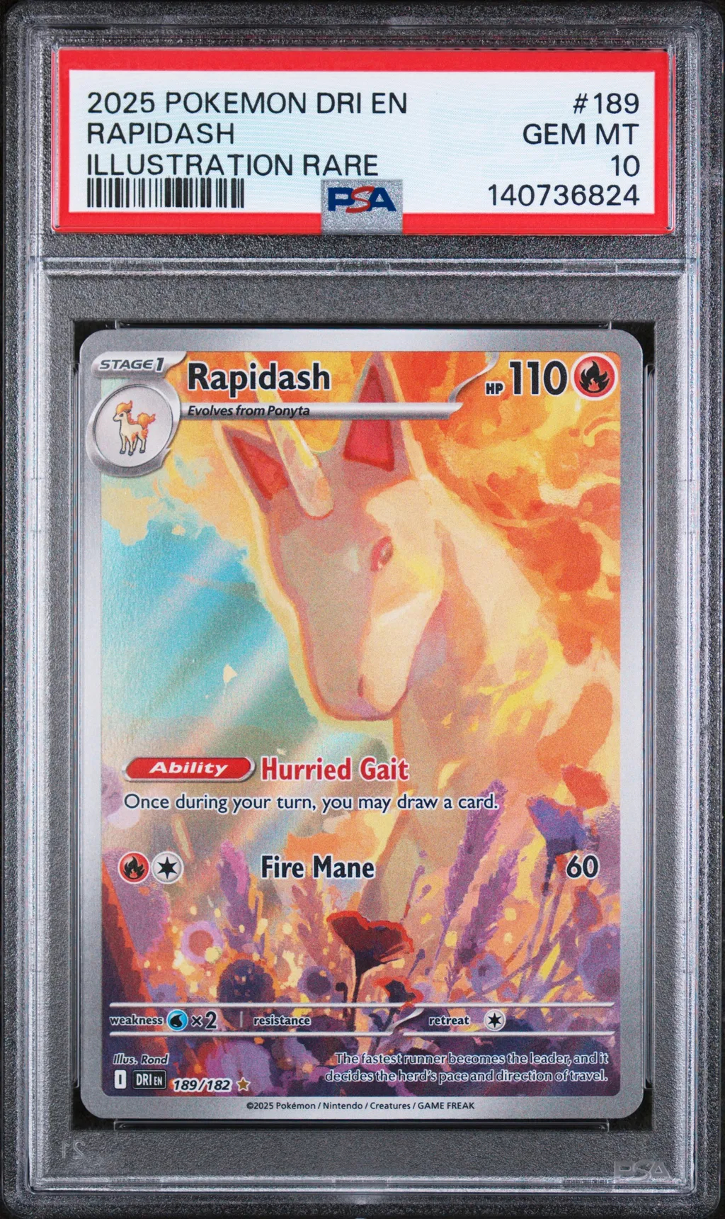 Rapidash card artwork
