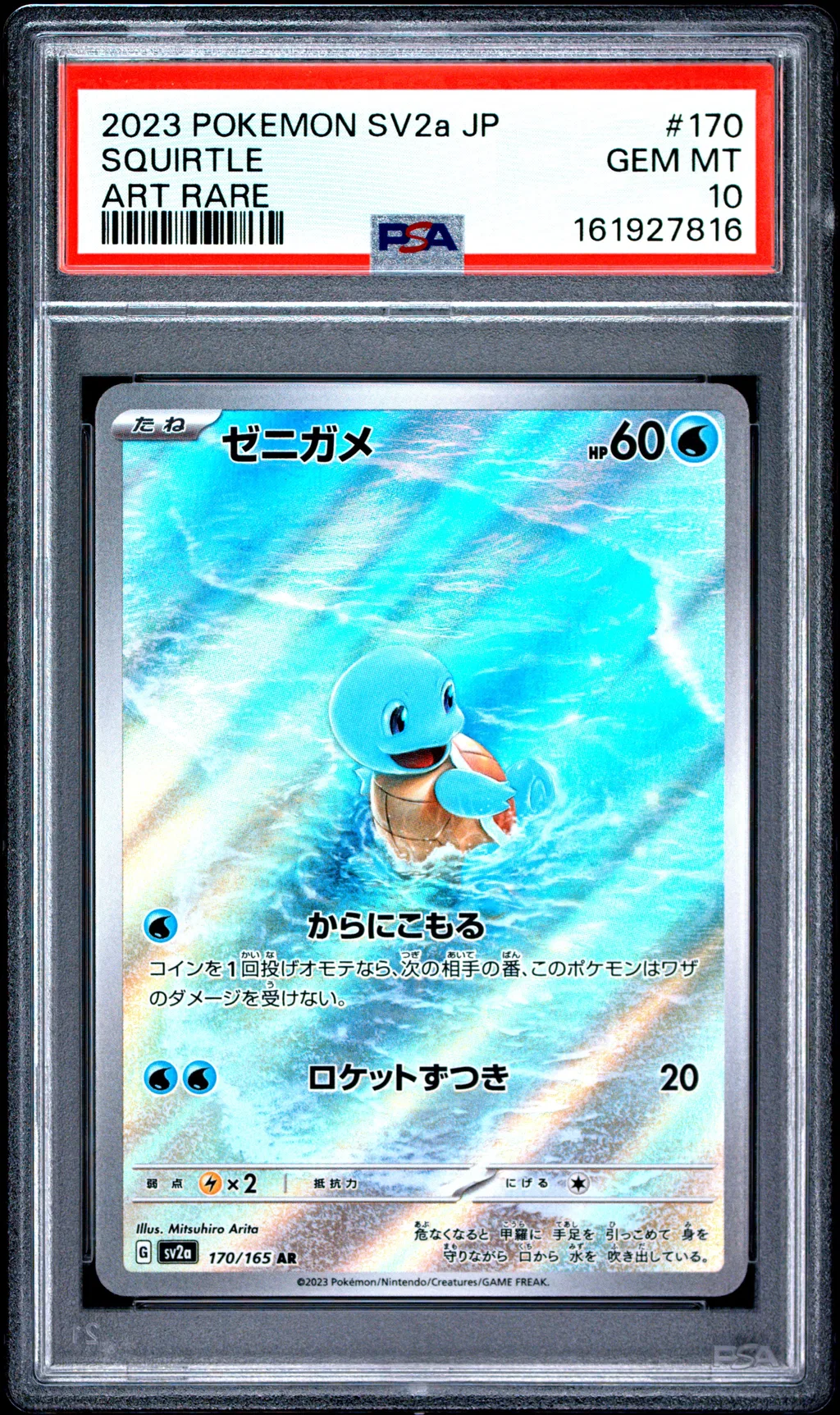 Squirtle card artwork