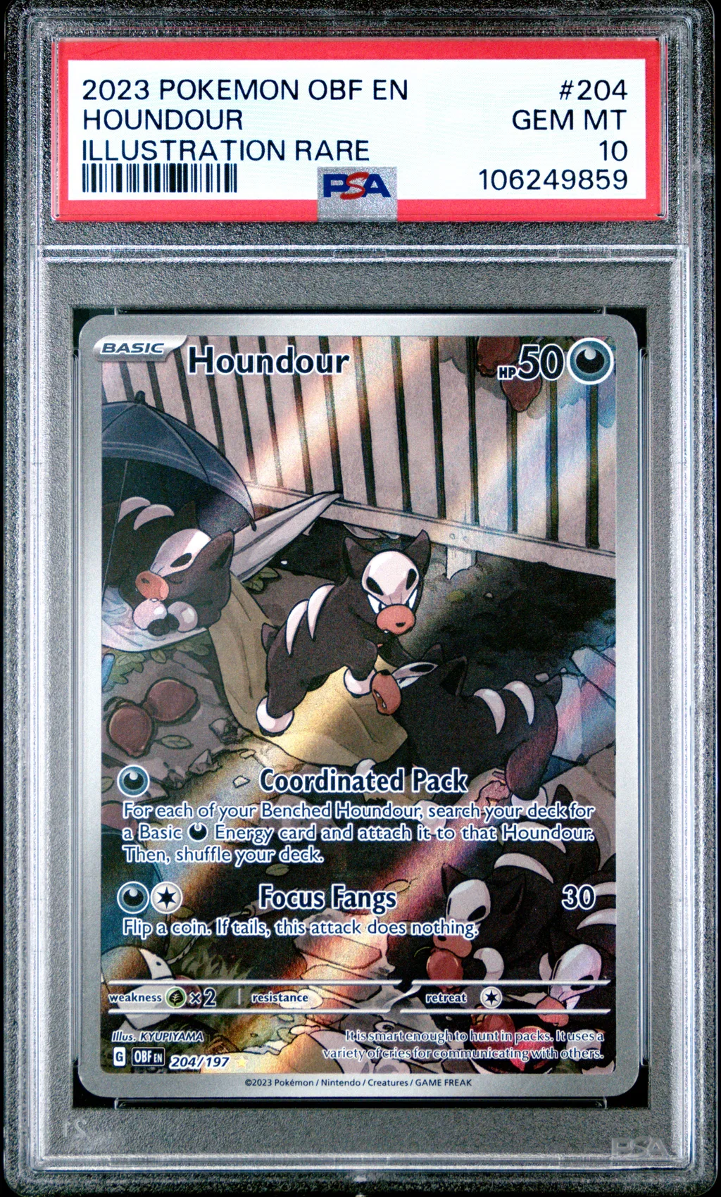 Houndour card artwork