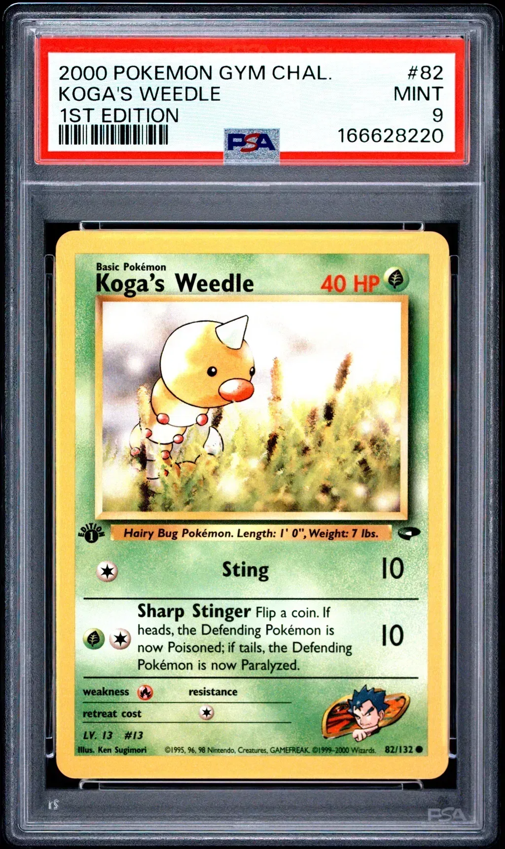 Koga's Weedle card artwork