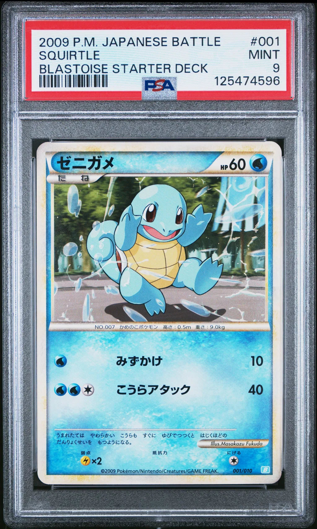 Squirtle card artwork