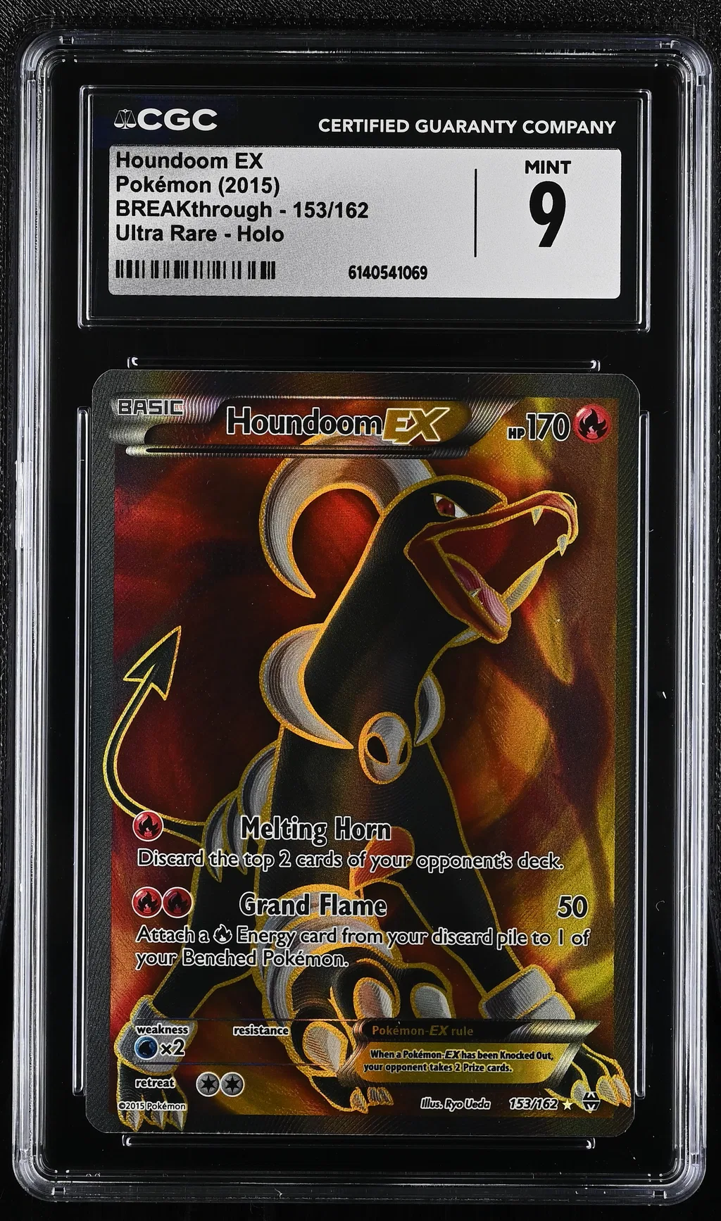 Full Art/Houndoom EX card artwork