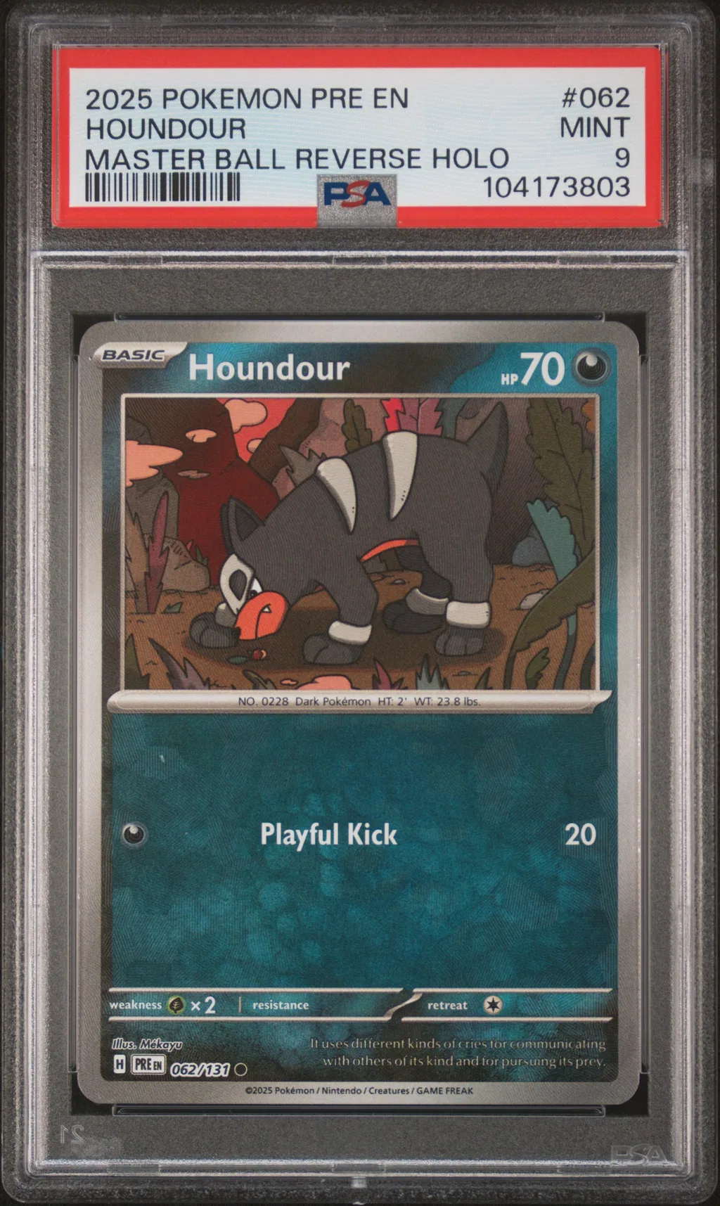 Houndour card artwork