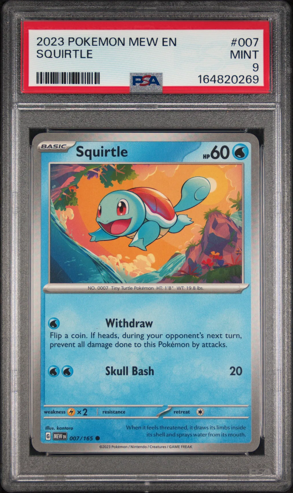 Squirtle card artwork