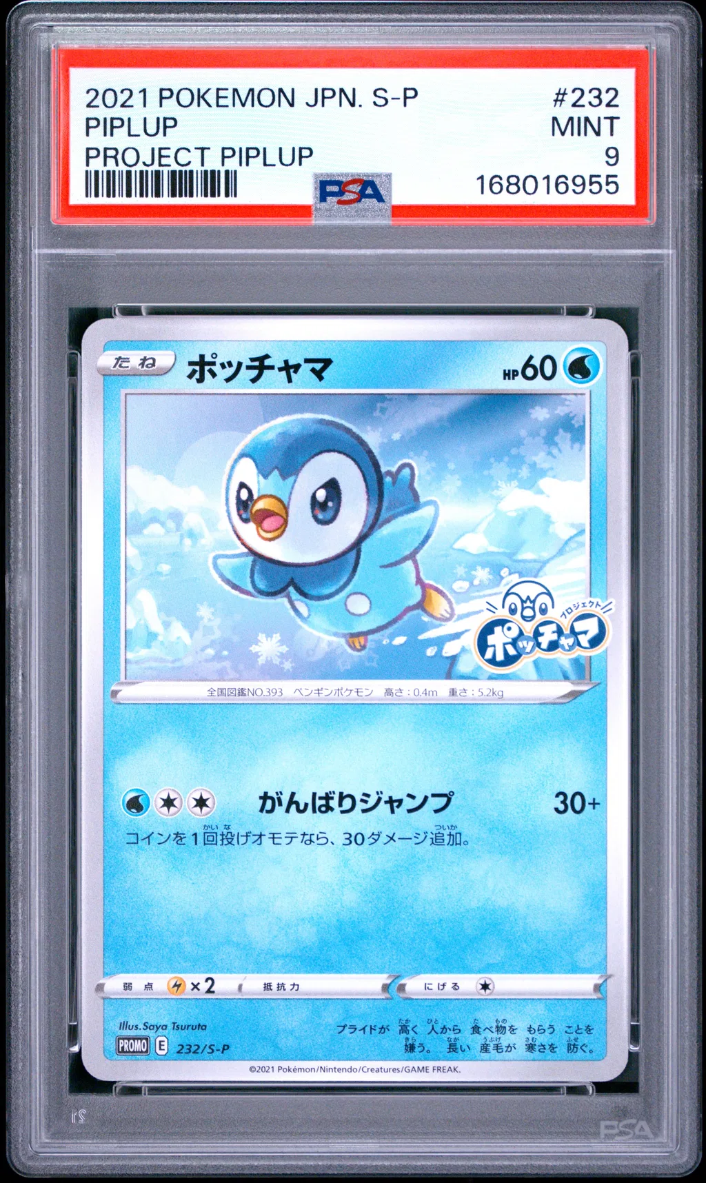 Piplup card artwork