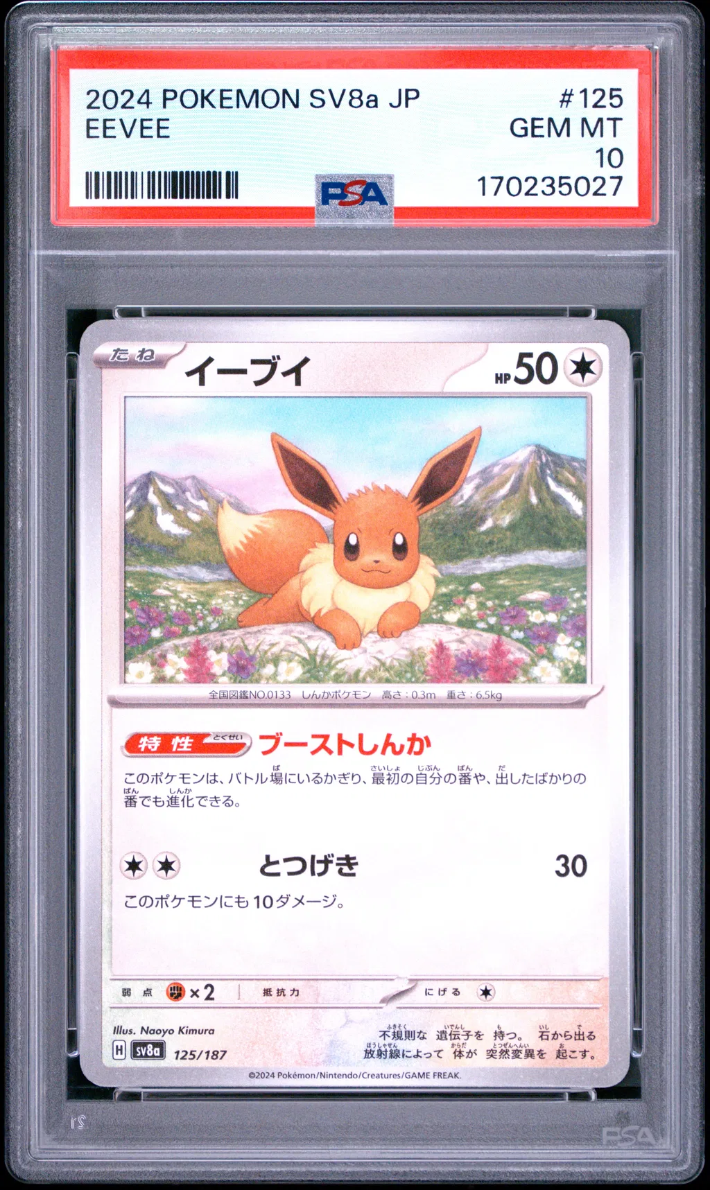 Eevee card artwork
