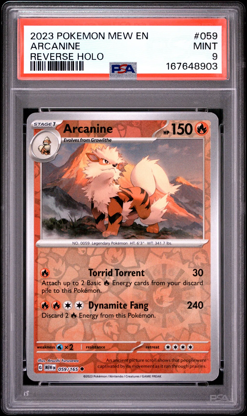 Arcanine card artwork