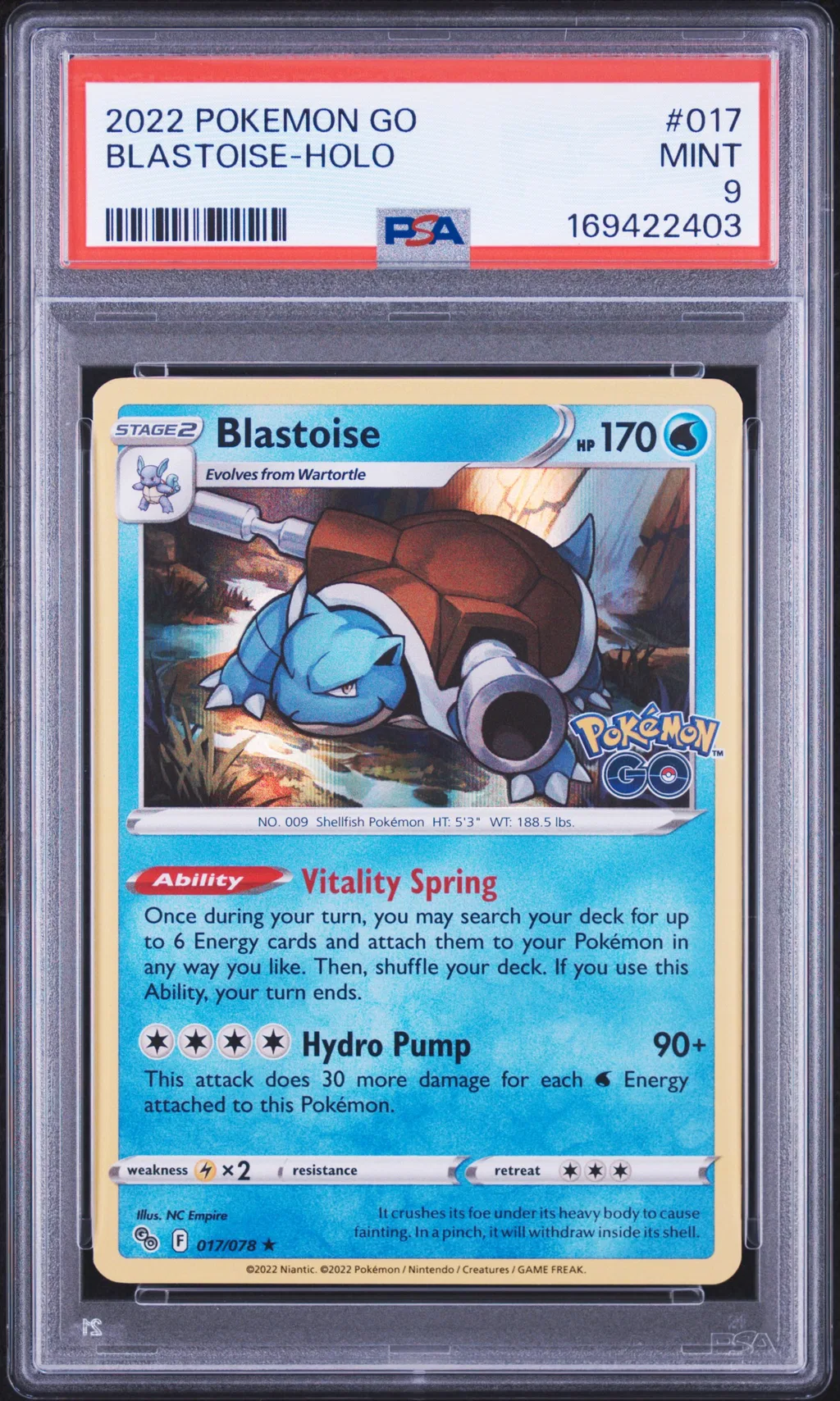 Blastoise-Holo card artwork