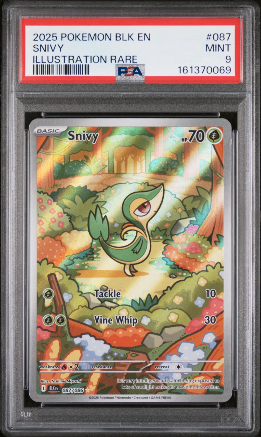 Snivy card artwork