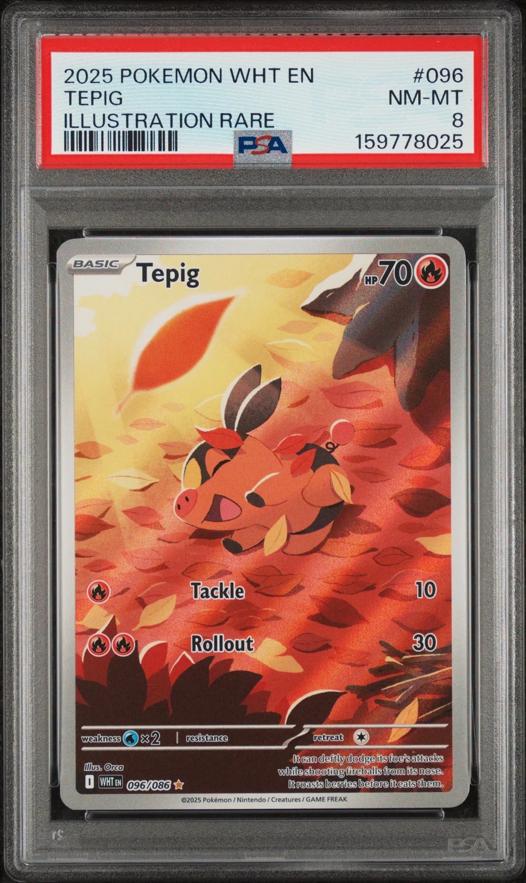 Tepig card artwork