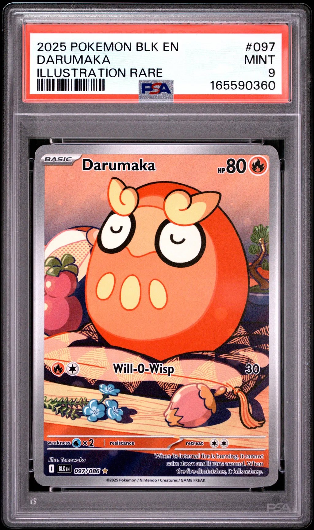 Darumaka card artwork