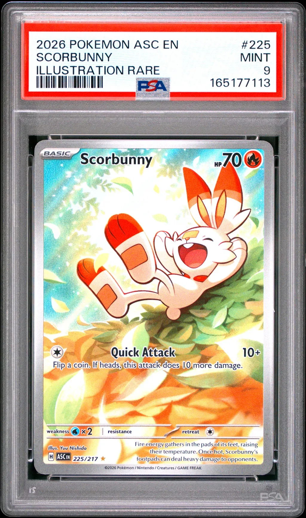 Scorbunny card artwork