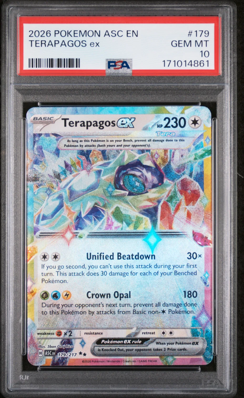 Terapagos EX card artwork
