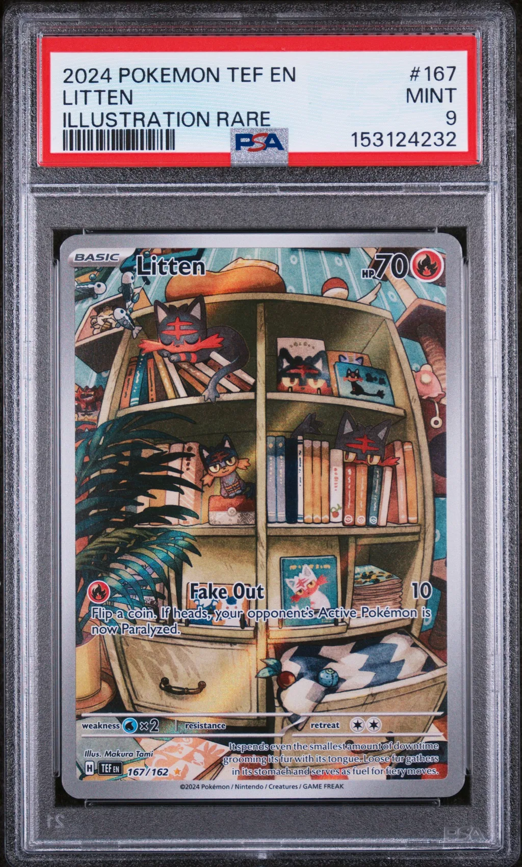 Litten card artwork