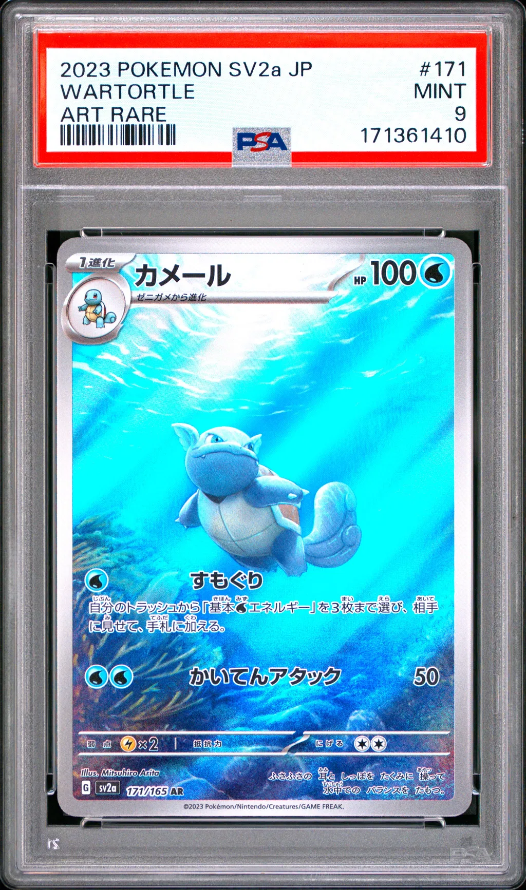 Wartortle card artwork