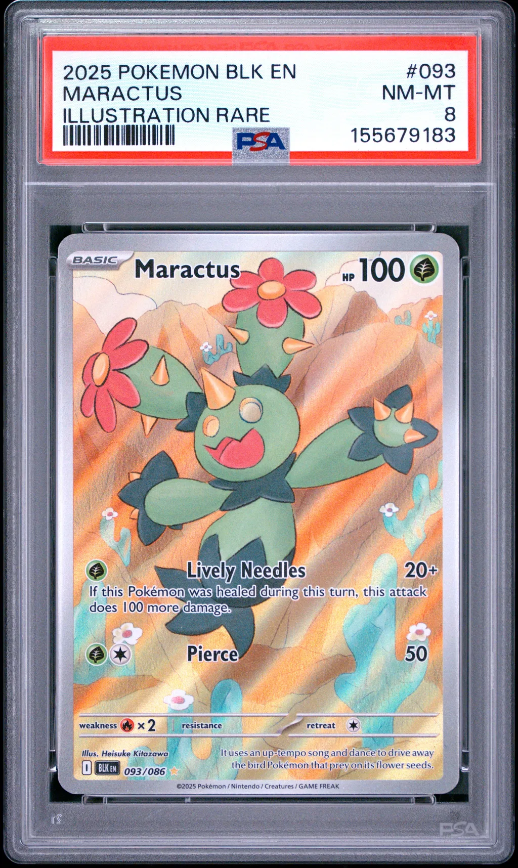 Maractus card artwork