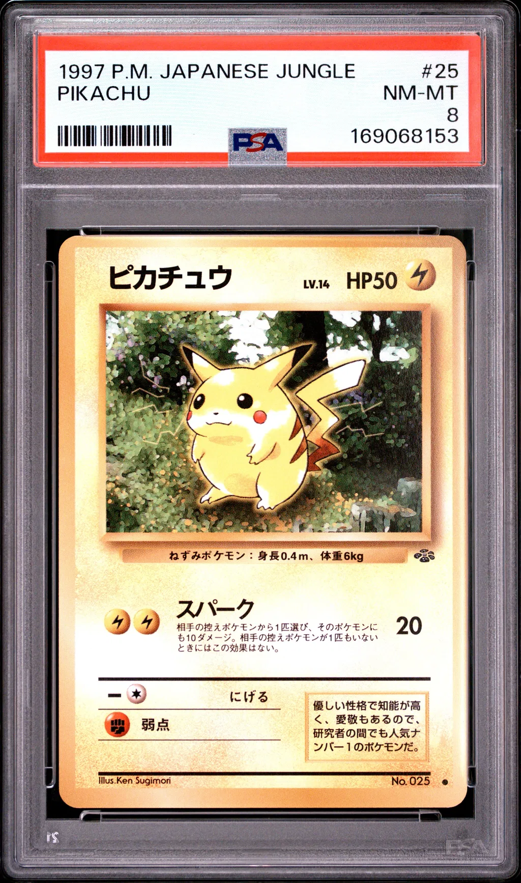 Pikachu card artwork