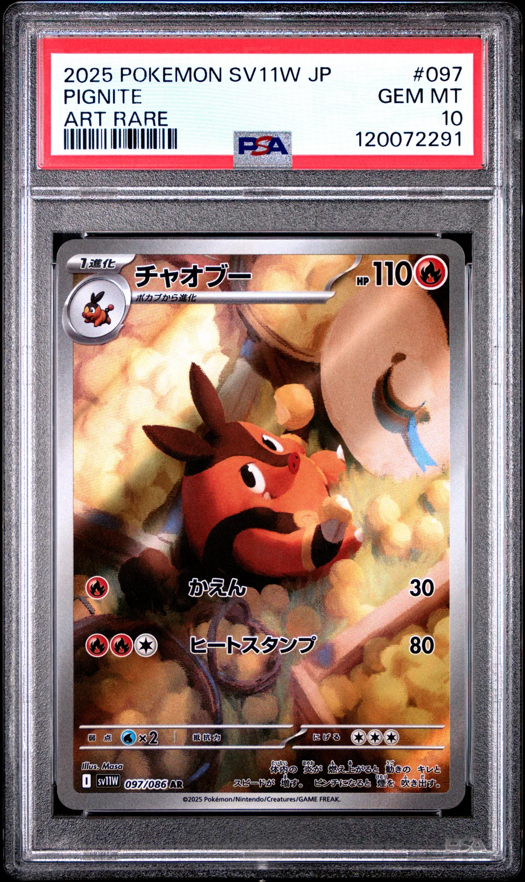 Pignite card artwork