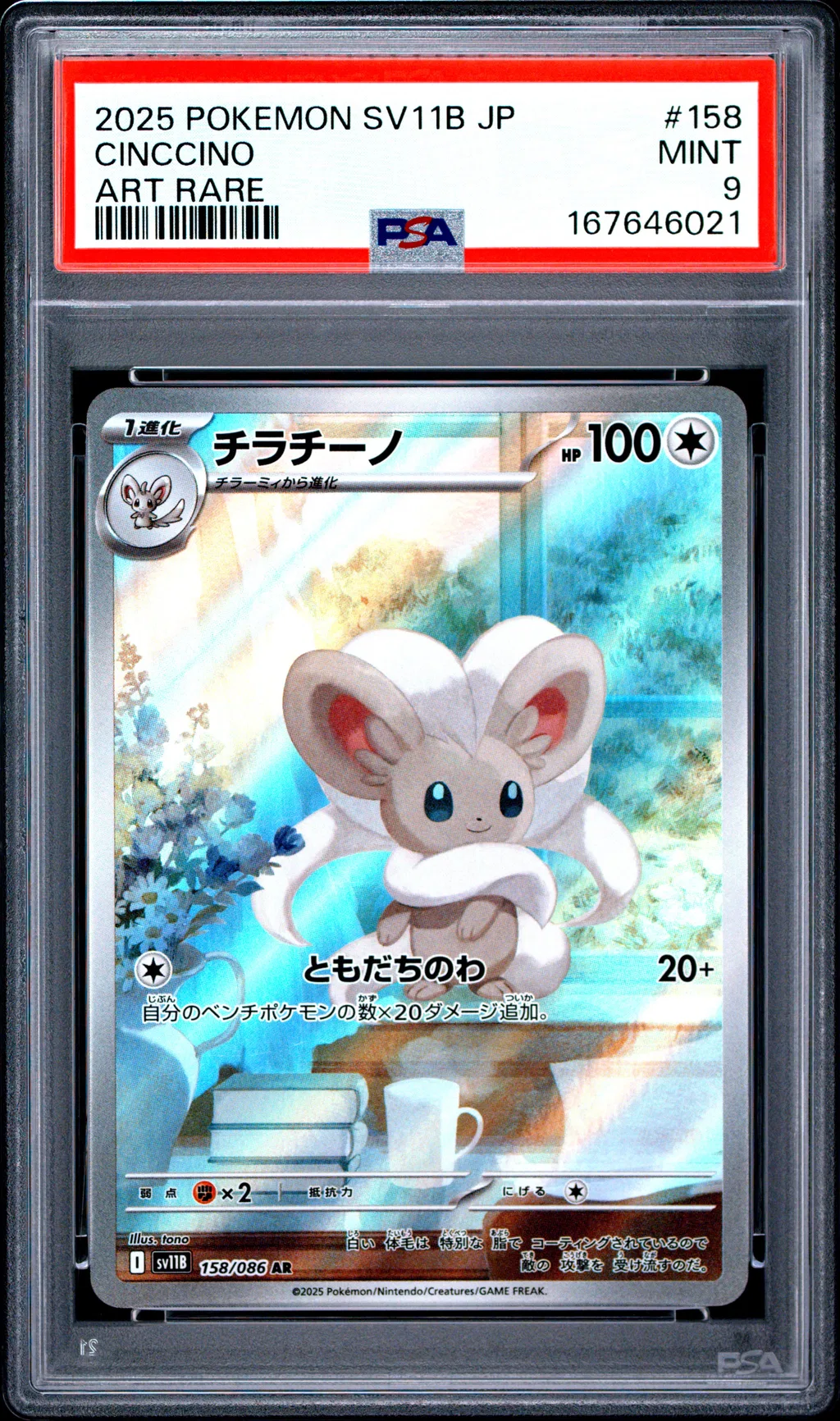 Cinccino card artwork