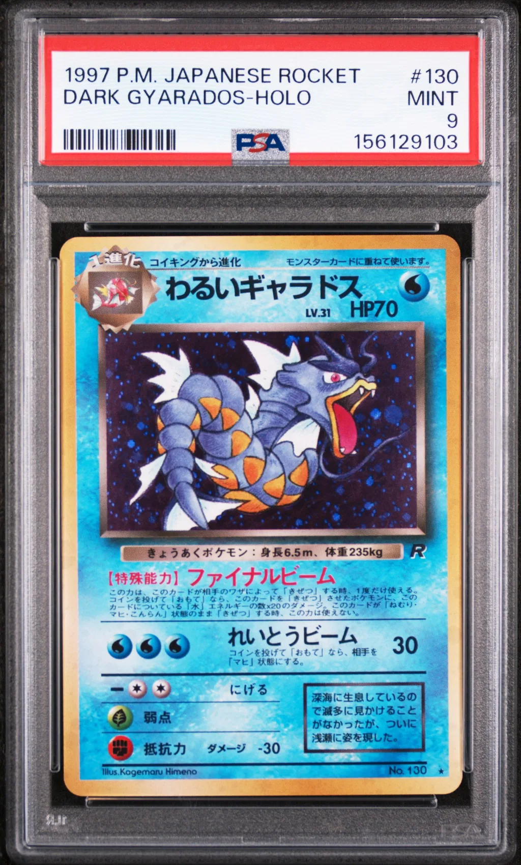 Dark Gyarados-Holo card artwork