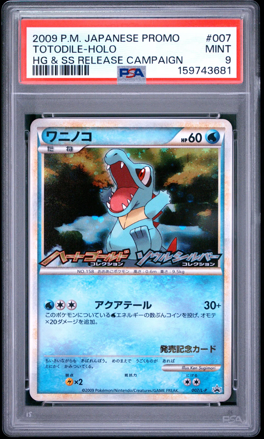 Totodile-Holo card artwork