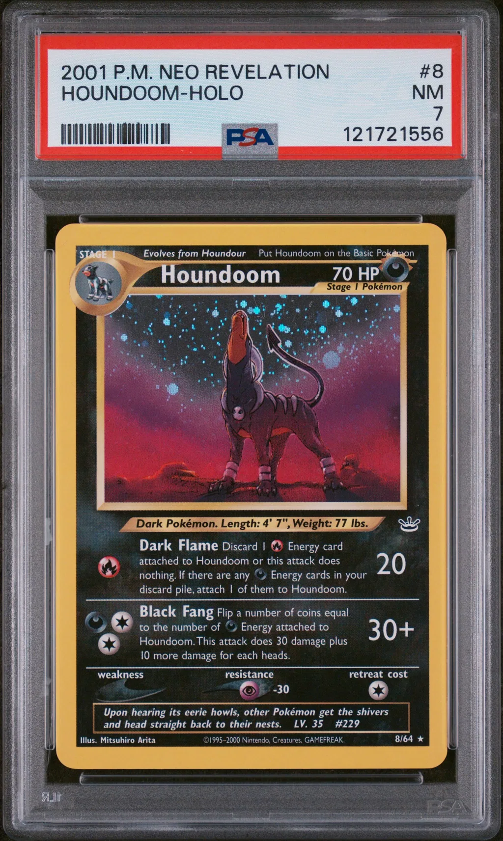 Houndoom-Holo card artwork