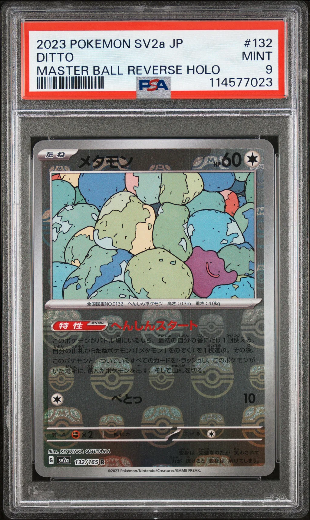 Ditto card artwork