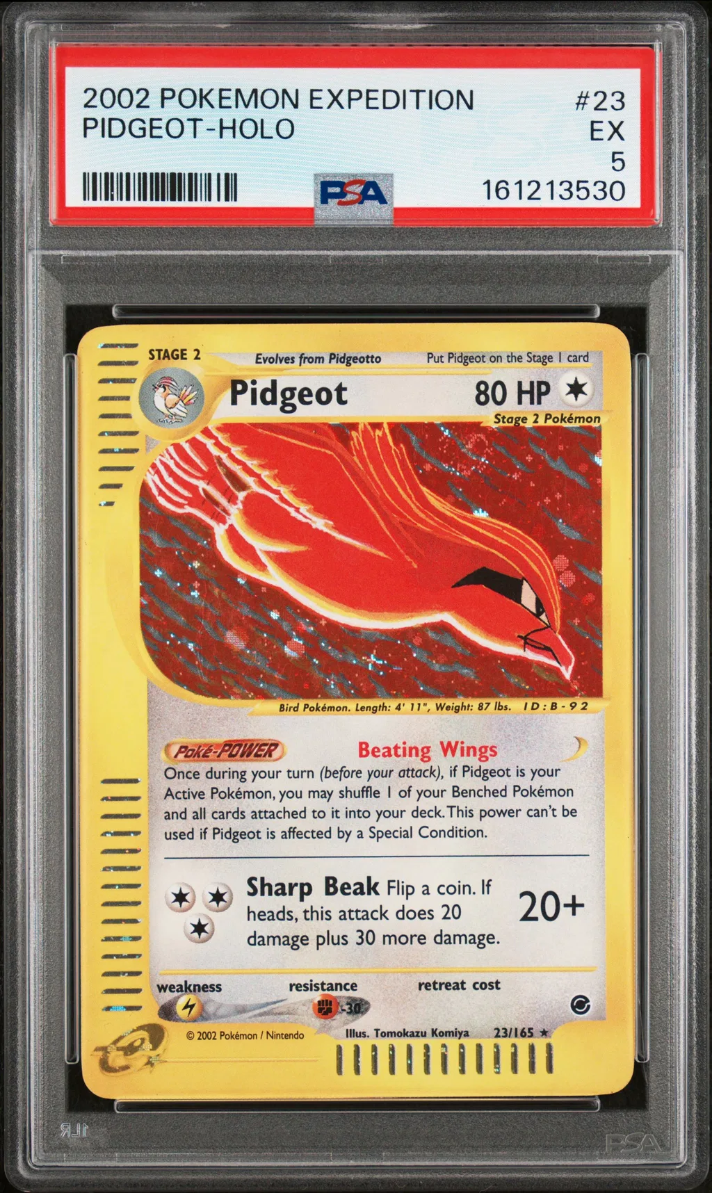 Pidgeot-Holo card artwork