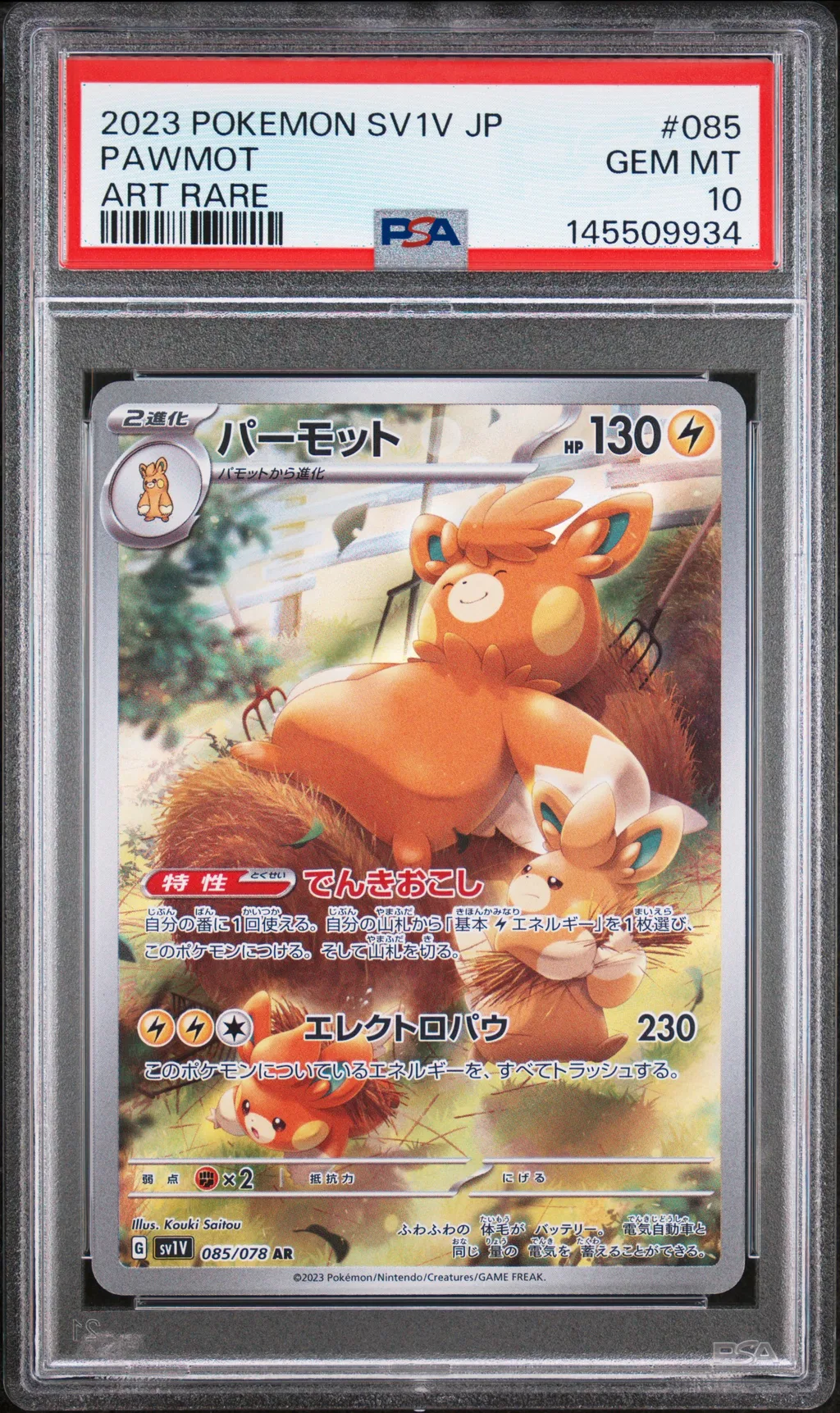 Pawmot card artwork