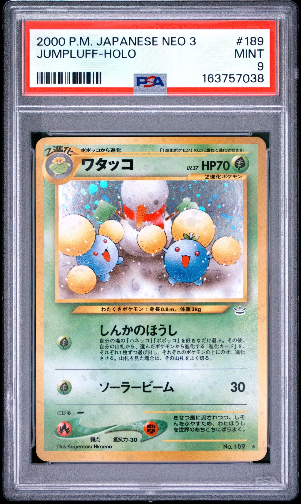 Jumpluff-Holo card artwork