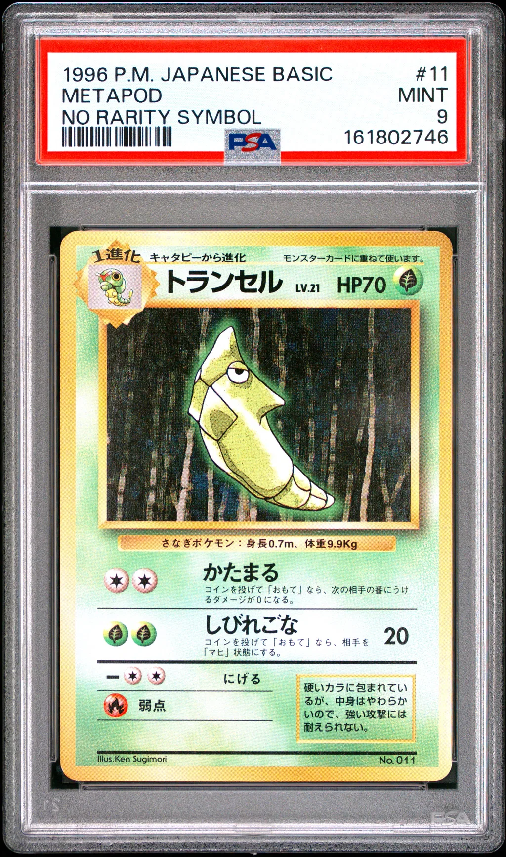 Metapod card artwork