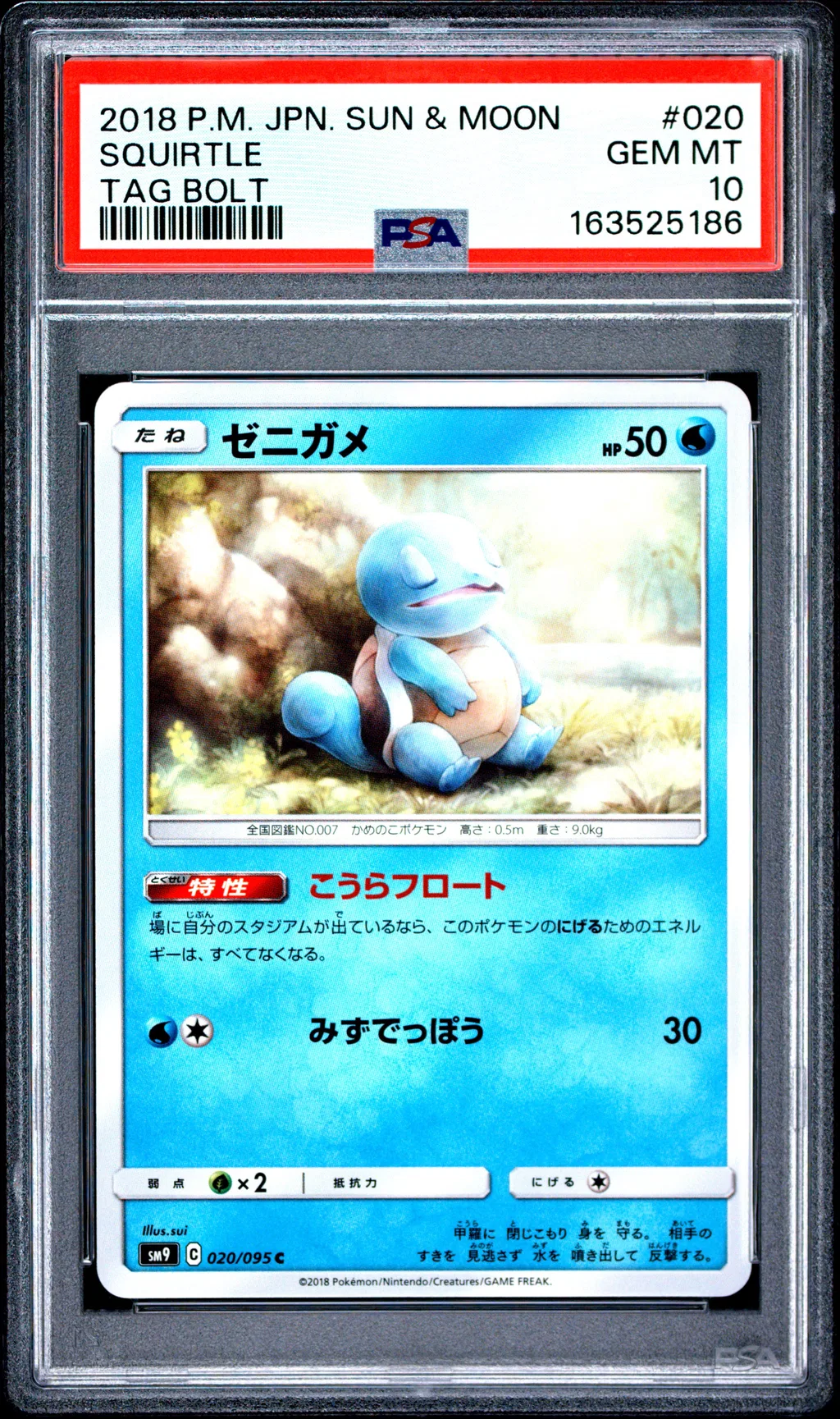 Squirtle card artwork