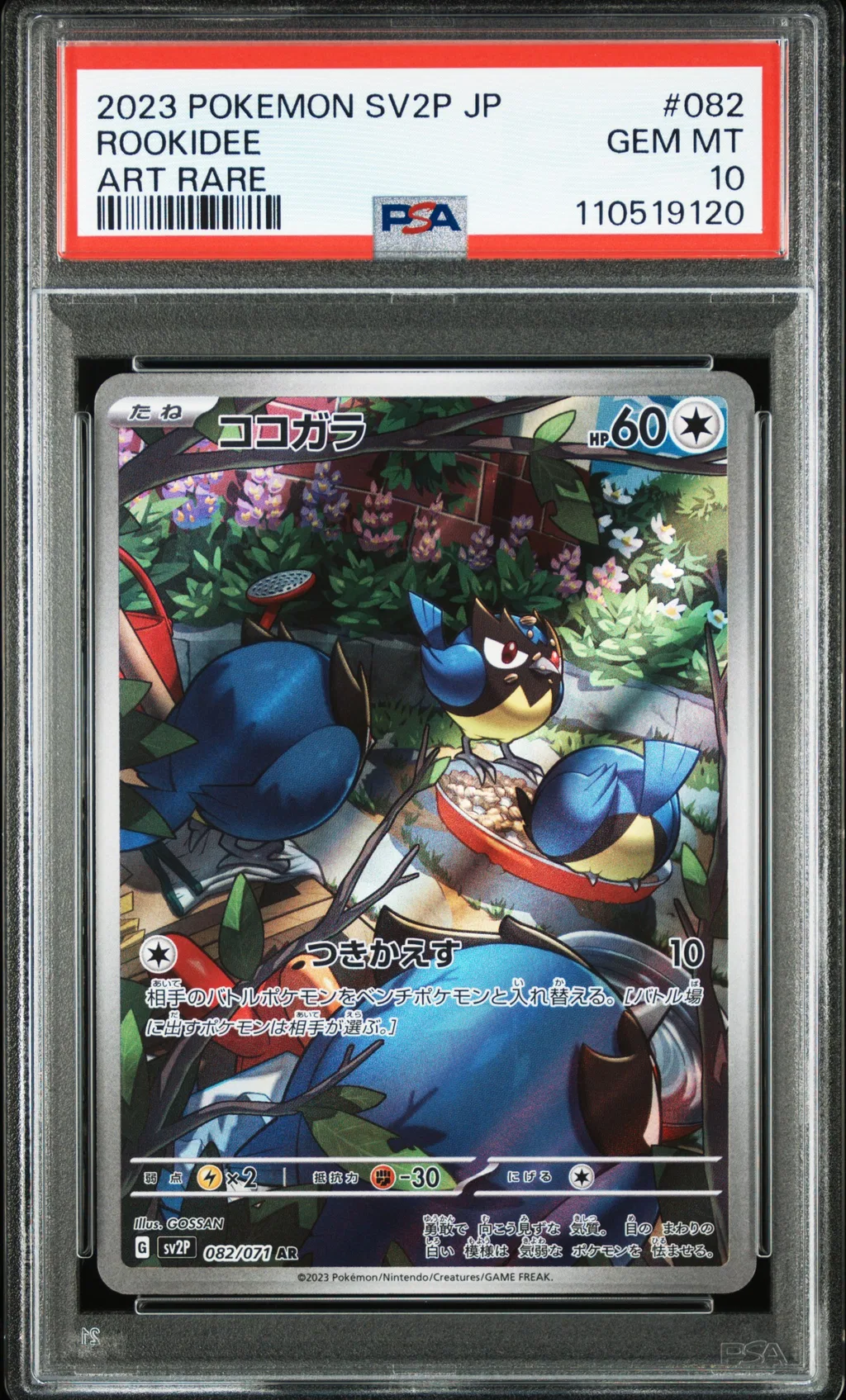 Rookidee card artwork
