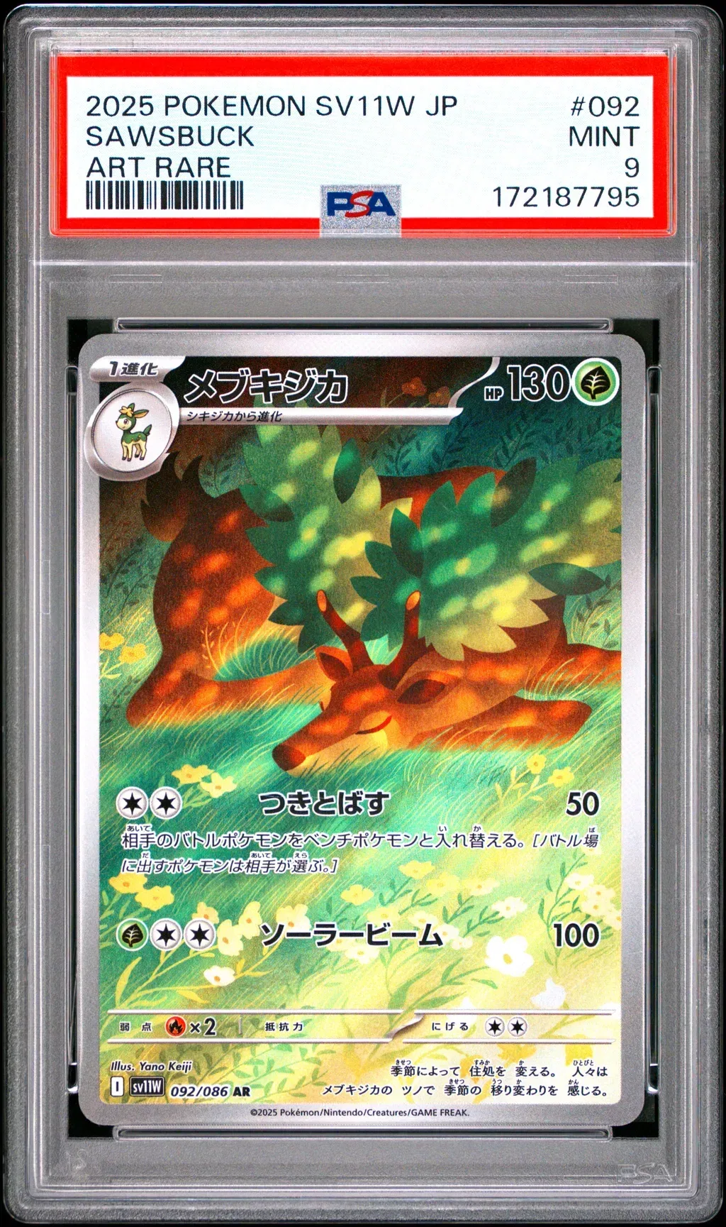 Sawsbuck card artwork