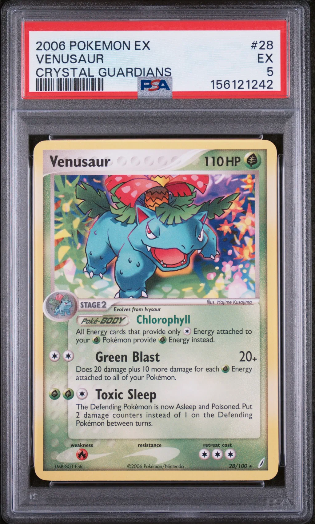 Venusaur card artwork