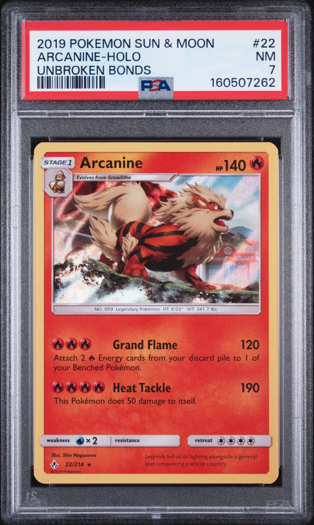 Arcanine-Holo card artwork