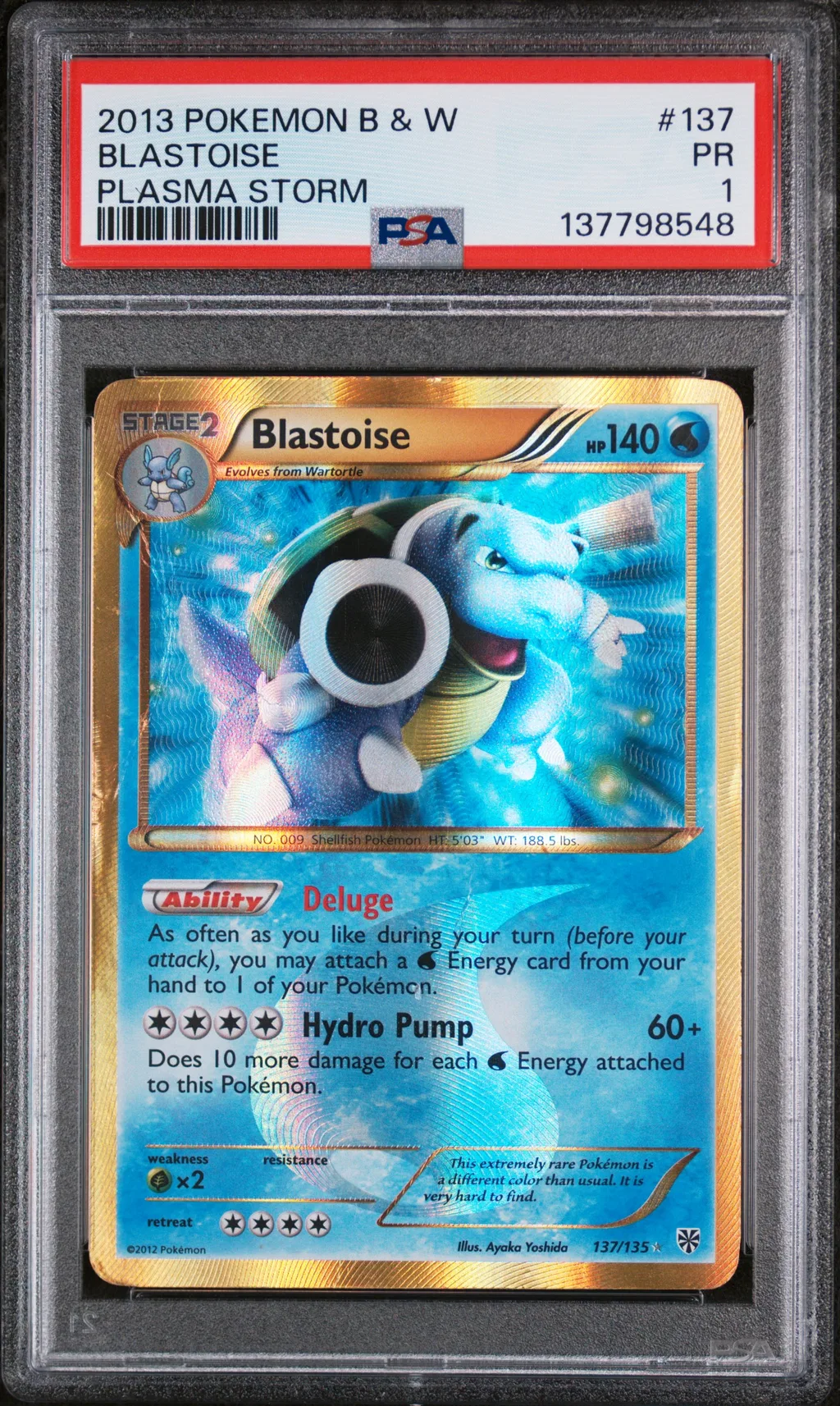 Blastoise card artwork