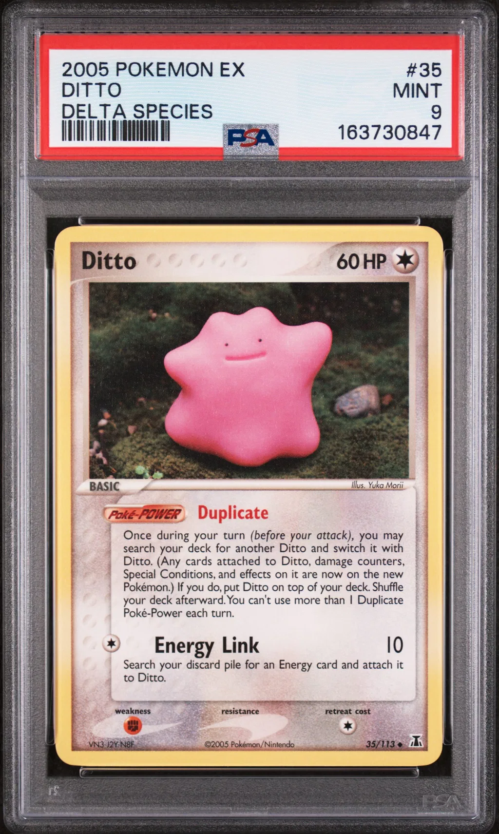 Ditto card artwork