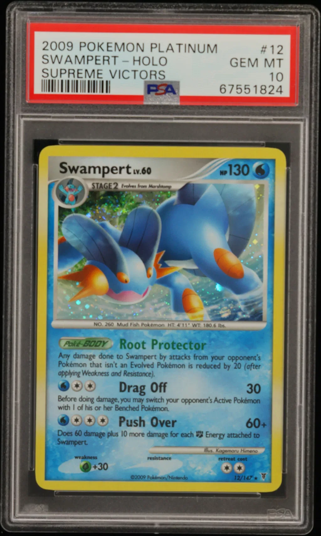 Swampert-Holo card artwork