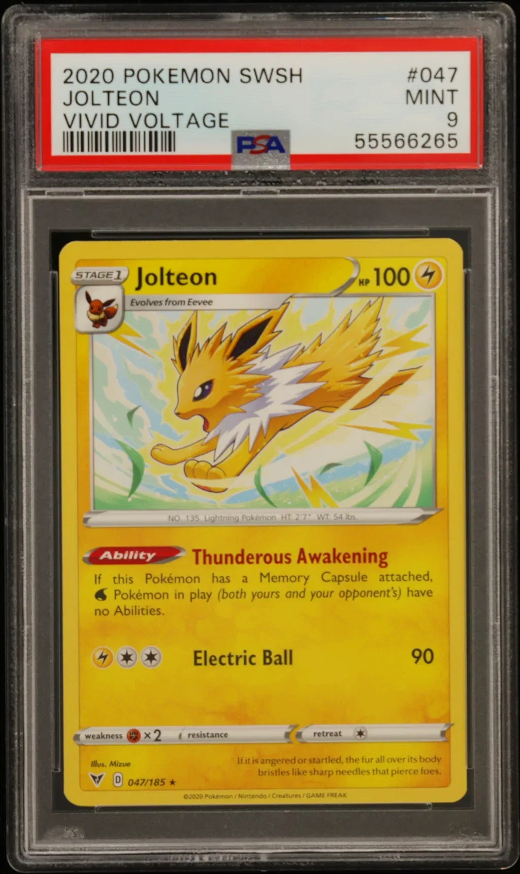 Jolteon card artwork
