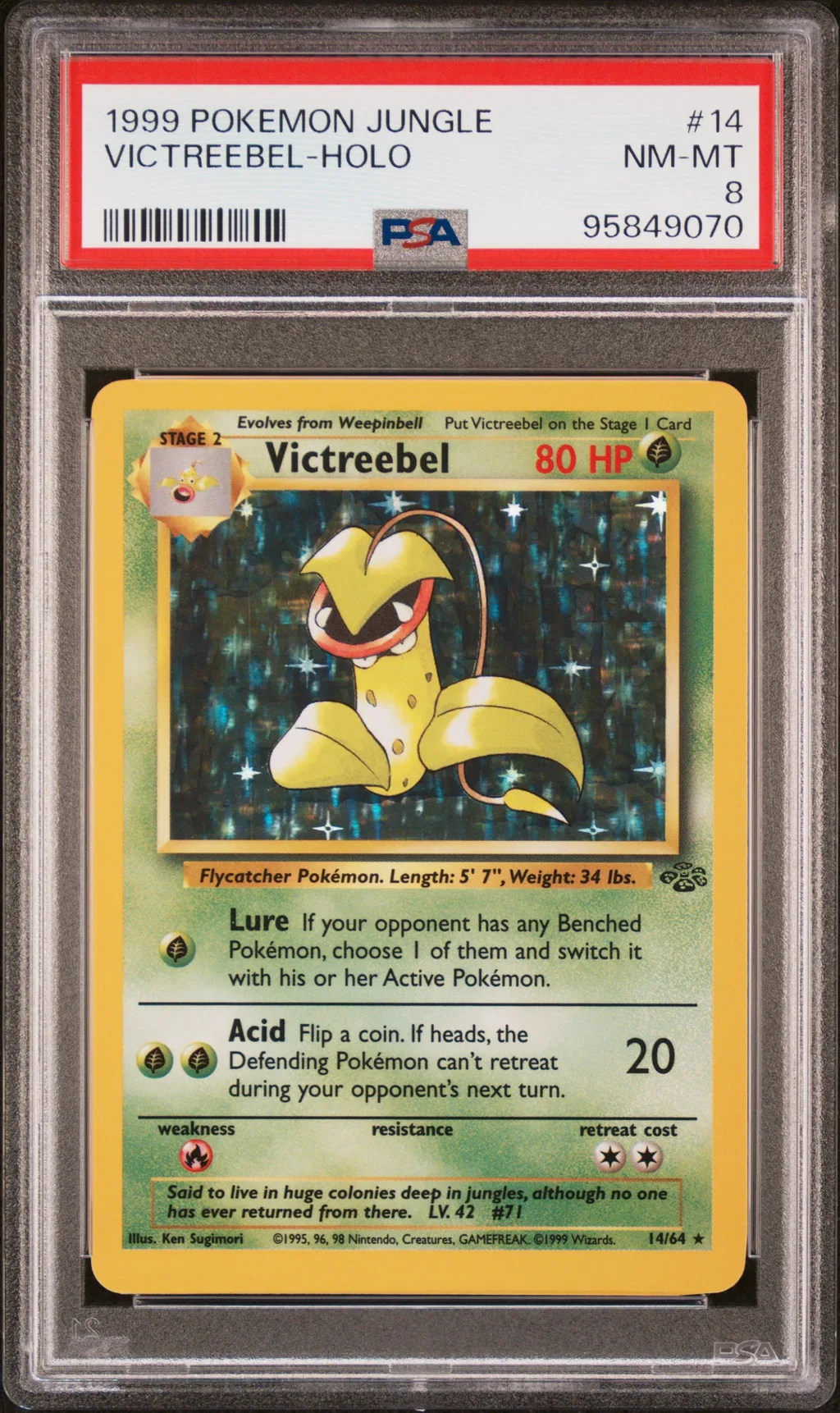 Victreebel-Holo card artwork