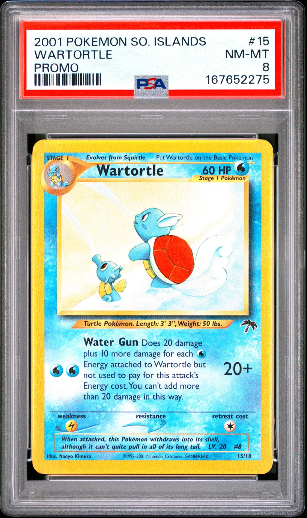 Wartortle card artwork