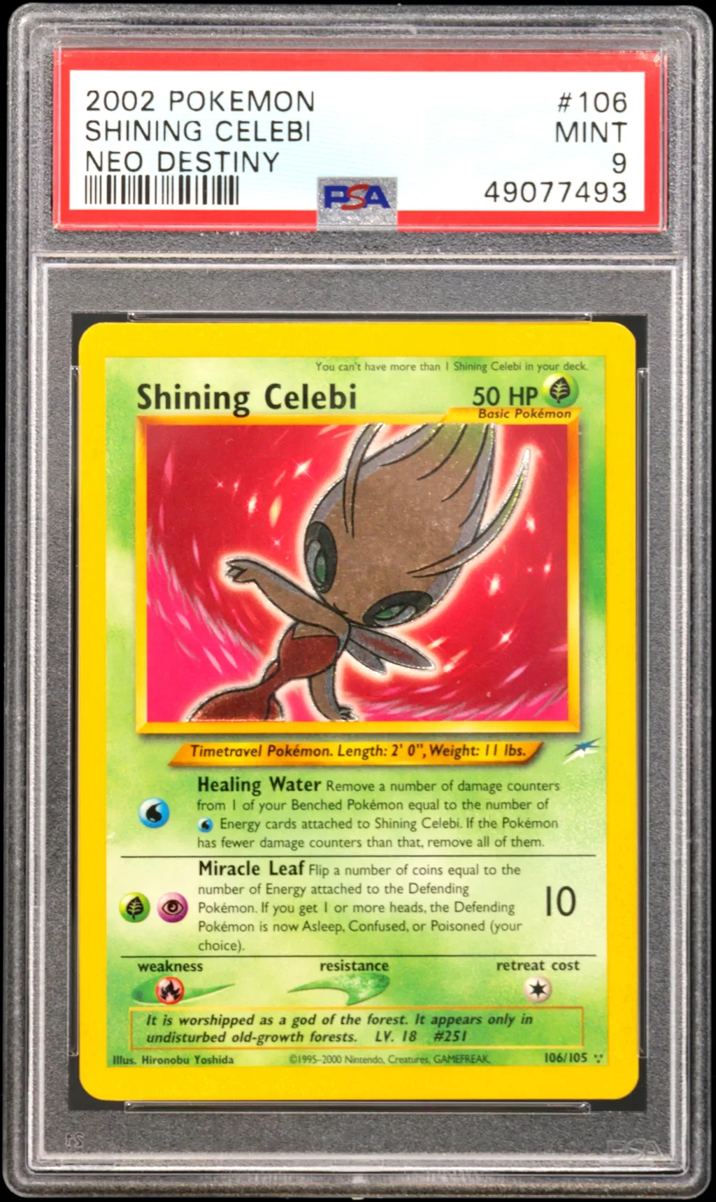 Shining Celebi card artwork
