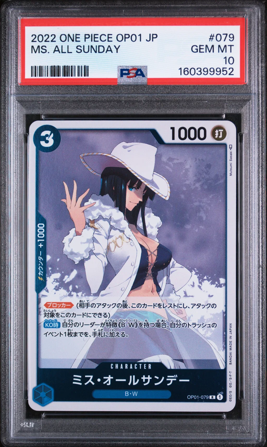 MS. All Sunday card artwork